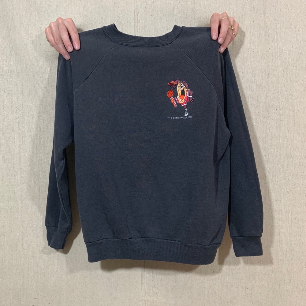 LOONEY TUNES TAZ EMBROIDERED CREWNECK VINTAGE